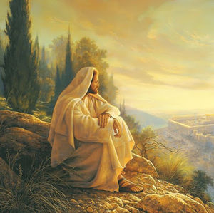 Meet your Posher, Joel